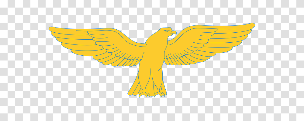 Animal Animals, Bird, Flying, Canary Transparent Png