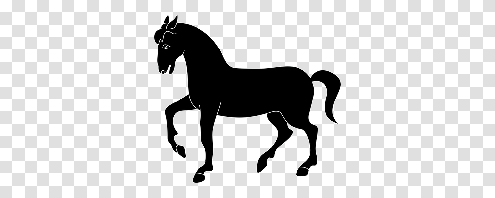 Animal Animals, Colt Horse, Mammal, Antelope Transparent Png