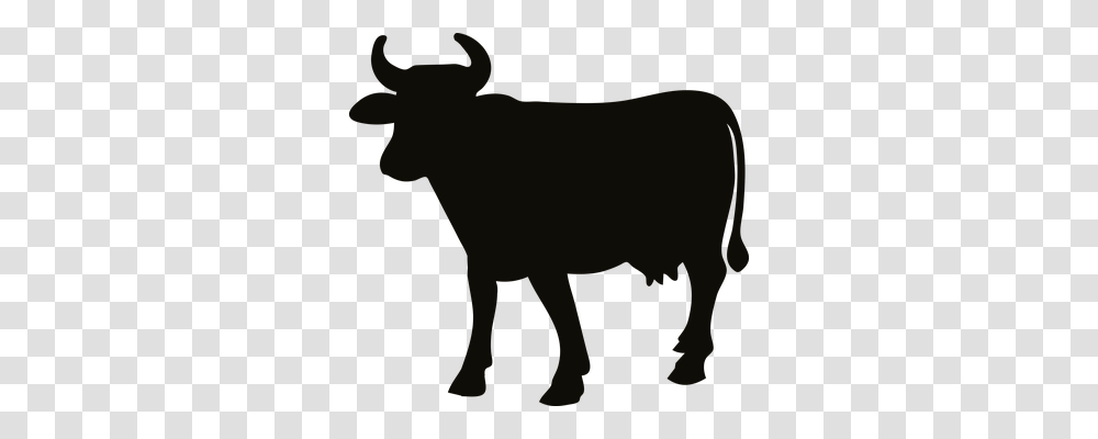 Animal Animals, Bull, Mammal, Wildlife Transparent Png