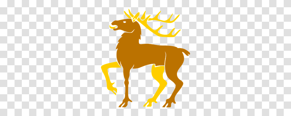 Animal Animals, Elk, Deer, Wildlife Transparent Png