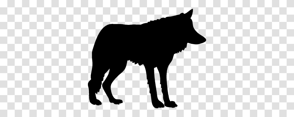 Animal Animals, Gray, World Of Warcraft Transparent Png