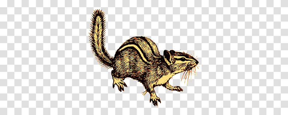 Animal Animals, Bird, Mammal, Rodent Transparent Png