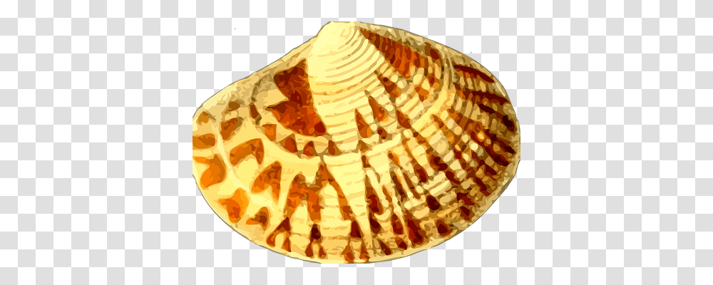 Animal Holiday, Clam, Seashell, Invertebrate Transparent Png