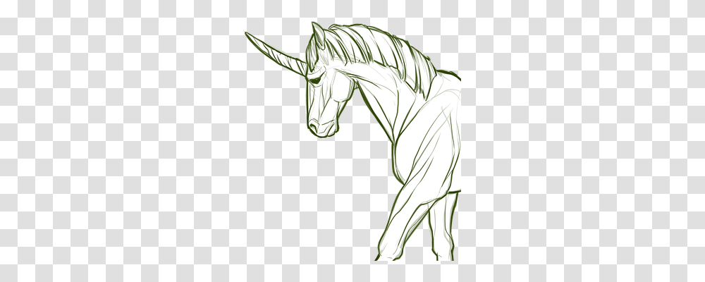 Animal Animals, Drawing, Zebra Transparent Png