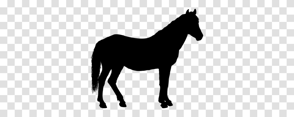 Animal Animals, Gray, World Of Warcraft Transparent Png