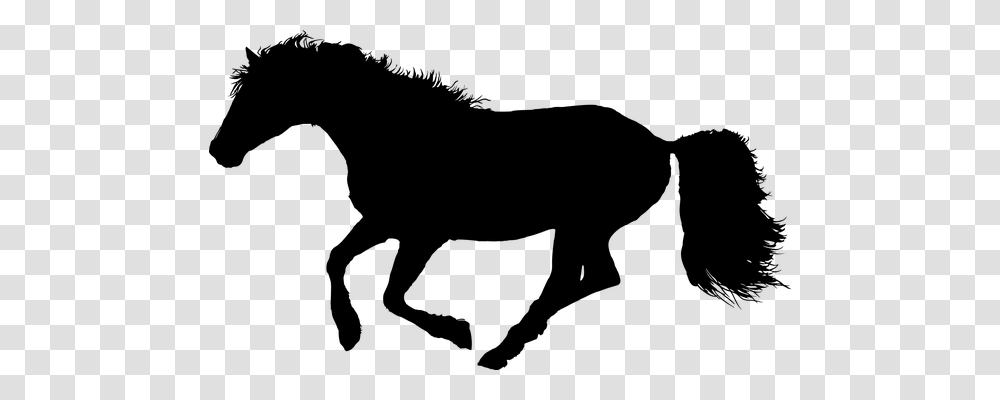 Animal Animals, Gray, World Of Warcraft Transparent Png