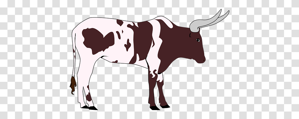 Animal Nature, Cow, Cattle, Mammal Transparent Png