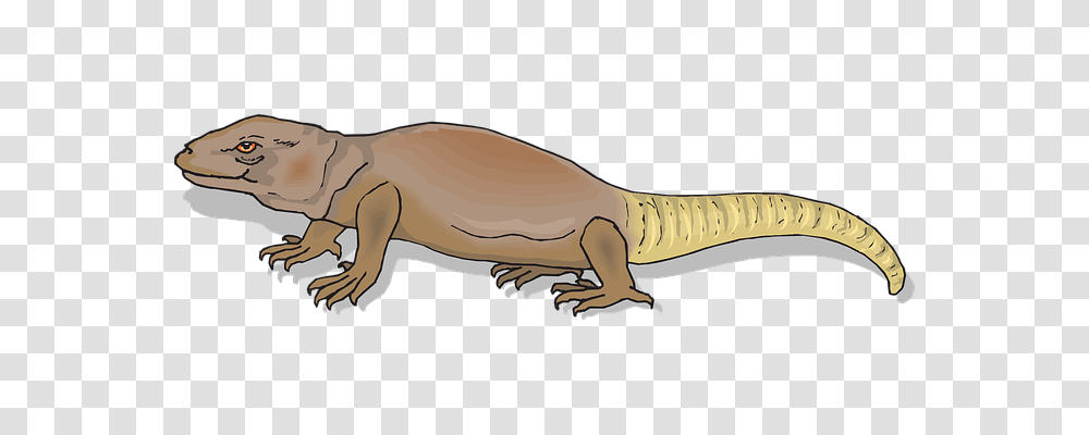 Animal Animals, Reptile, Amphibian, Wildlife Transparent Png