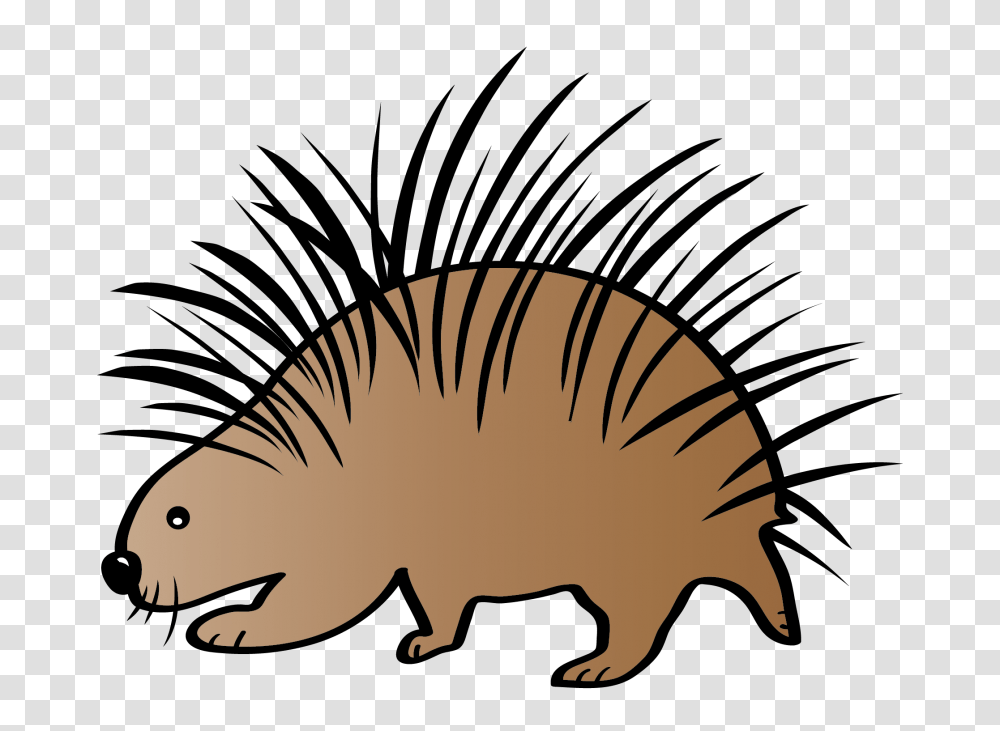 Animal Adaptations Clip Art, Mammal, Hedgehog, Rodent, Porcupine Transparent Png