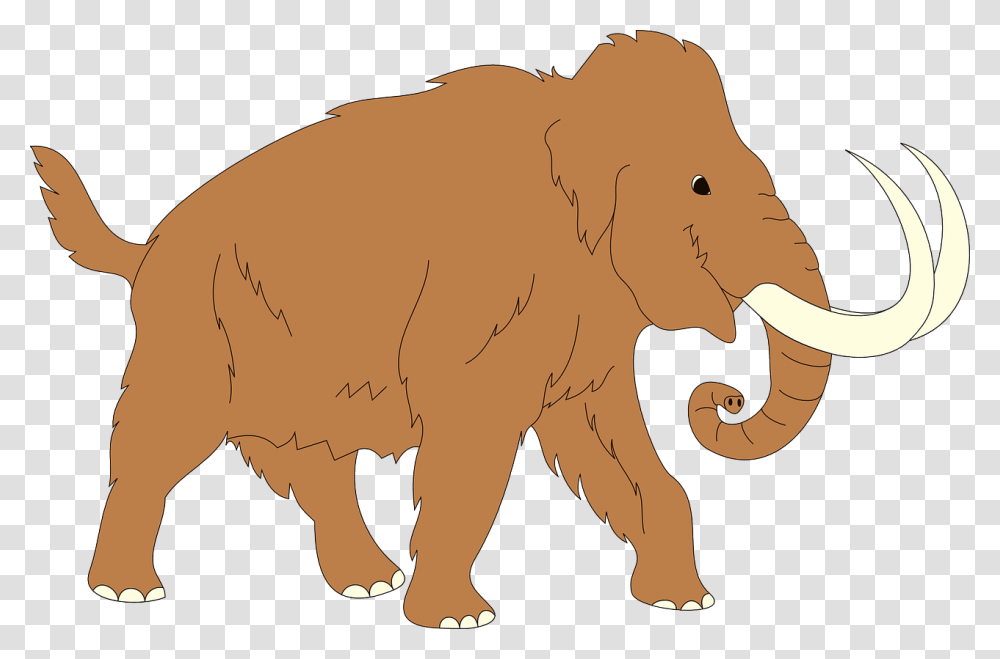 Animal Ancient Mammoth Trunk Fur Tusks Elephant Mammoth Clipart, Wildlife, Mammal Transparent Png