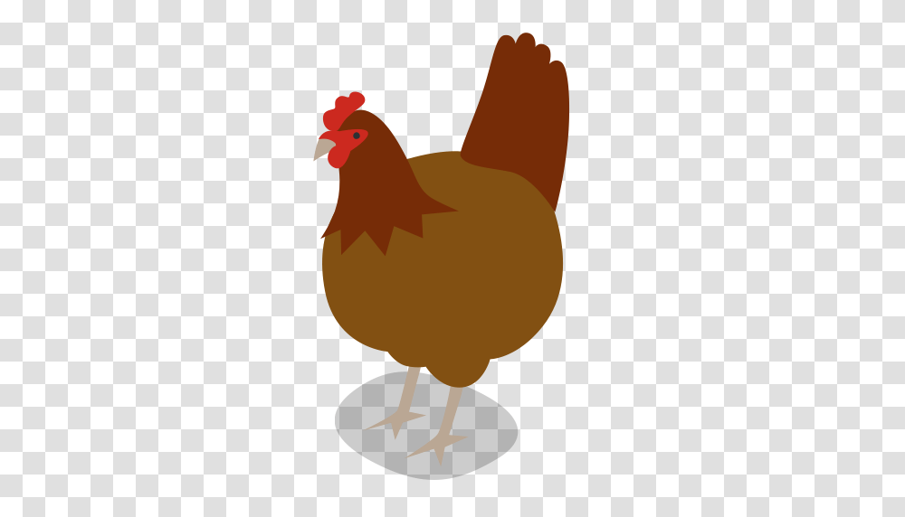 Animal Animals Bird Chicken Farm Hen Rural Icon, Poultry, Fowl Transparent Png