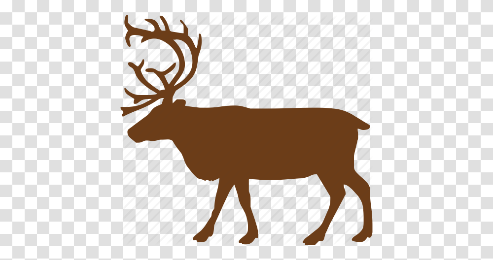 Animal Animals Deer Wild Animal Zoo Icon, Elk, Wildlife, Mammal, Antelope Transparent Png