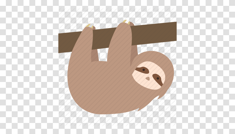 Animal Arboreal Lazy Sloth Slow Strange Weird Icon, Outdoors, Tape, Nature, Weapon Transparent Png