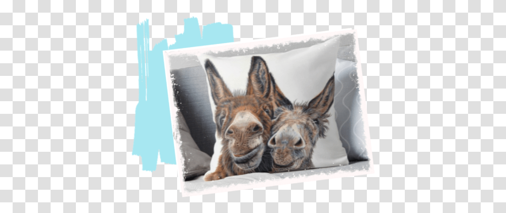 Animal Art By Law Relax, Cushion, Pillow, Mammal, Dog Transparent Png