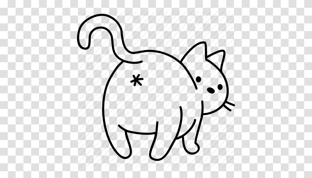 Animal Ass Butt Cat Feline Pet Poop Icon, Mammal Transparent Png