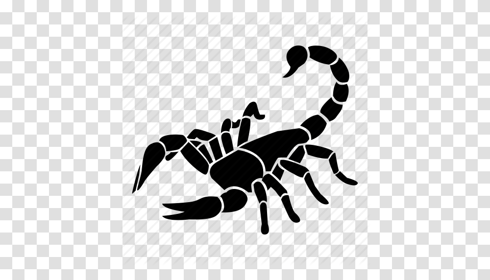Animal Astrology Horoscope Scorpio Scorpion Star Zodiac Icon, Piano, Leisure Activities, Musical Instrument, Invertebrate Transparent Png
