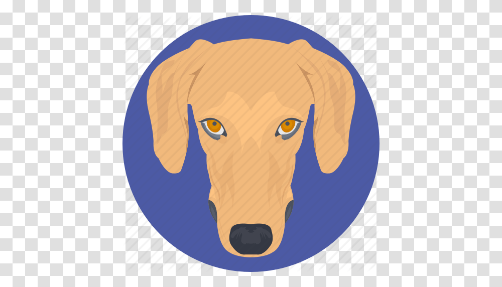 Animal Basset Hound Dog Dog Face Dog Head Icon, Mammal, Pet, Canine, Labrador Retriever Transparent Png