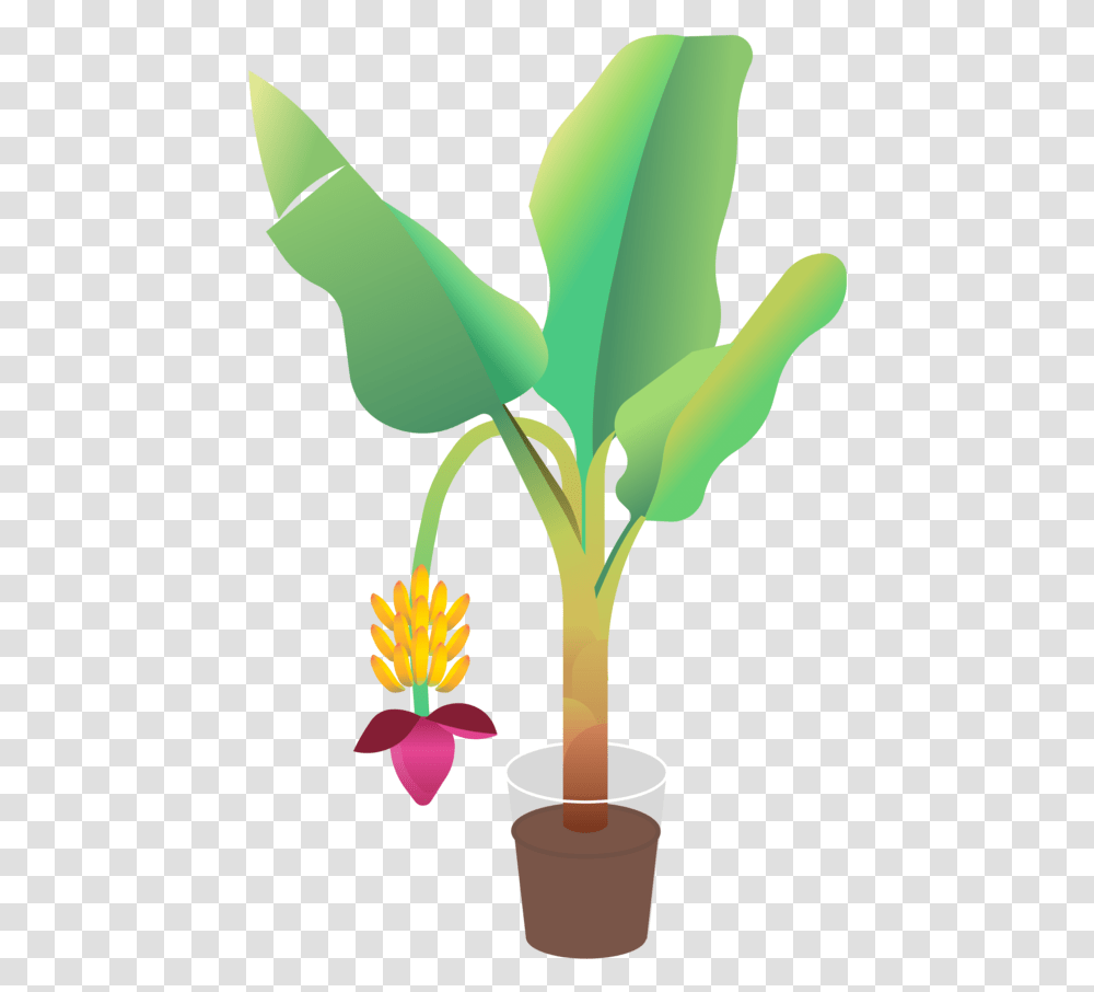 Animal Best Friend Simulation Game - Zoey Liangzhang Houseplant, Flower, Blossom, Graphics, Art Transparent Png