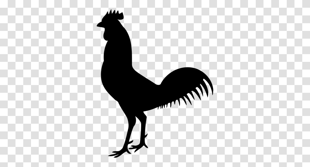 Animal Bird Chicken Cock Hen Silhouettes For Projects, Gray, World Of Warcraft Transparent Png