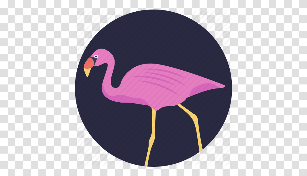 Animal Bird Crane Flamingo Gruidae Icon Download On Iconfinder Soft, Balloon, Waterfowl, Beak, Ostrich Transparent Png