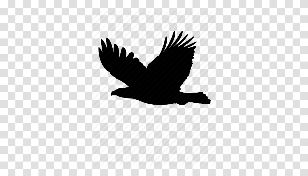 Animal Bird Eagle Falcon Fly Hawk Icon, Piano, Leisure Activities, Musical Instrument Transparent Png