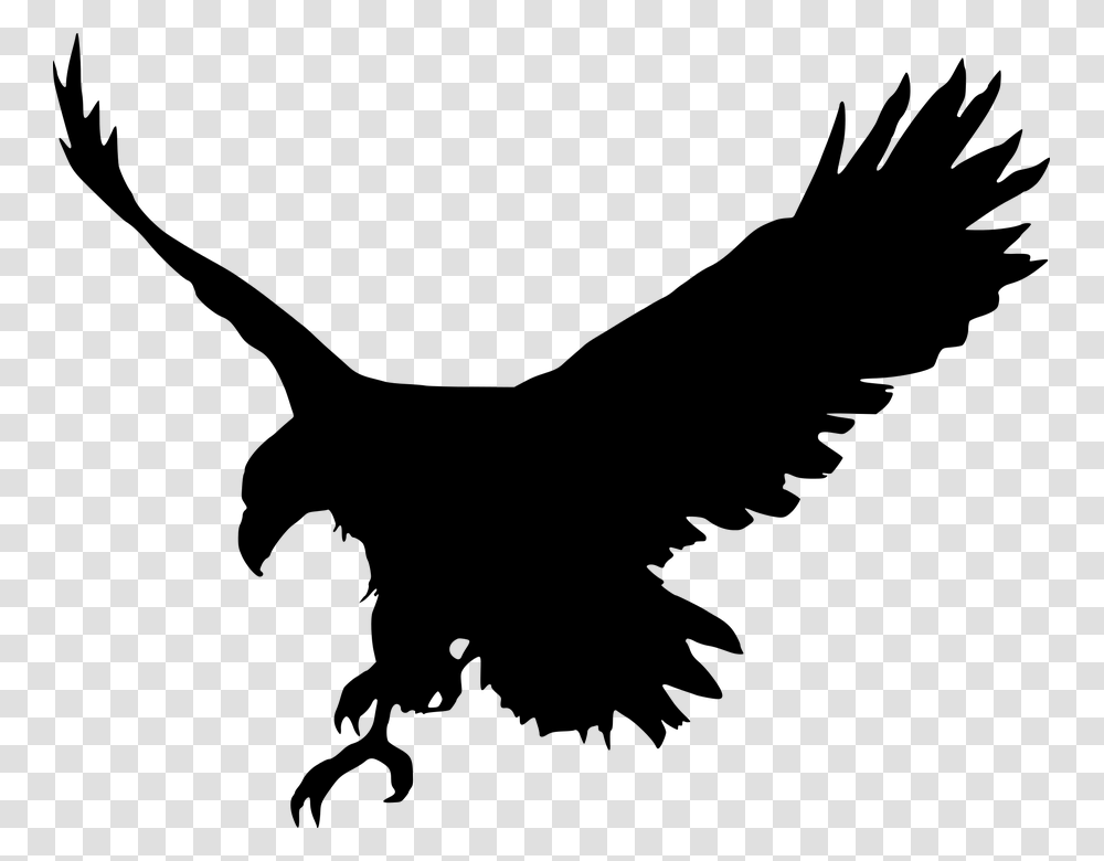 Animal Bird Eagle Favorites Silhouette Eagle In Photo Editing, Gray, World Of Warcraft Transparent Png