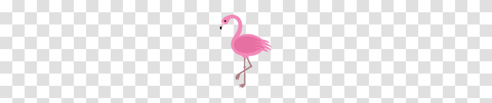 Animal, Bird, Flamingo Transparent Png