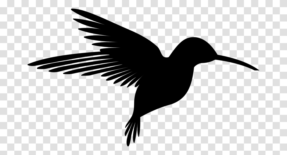 Animal Bird Flying Hummingbird Cricut Adventures, Gray, World Of Warcraft Transparent Png