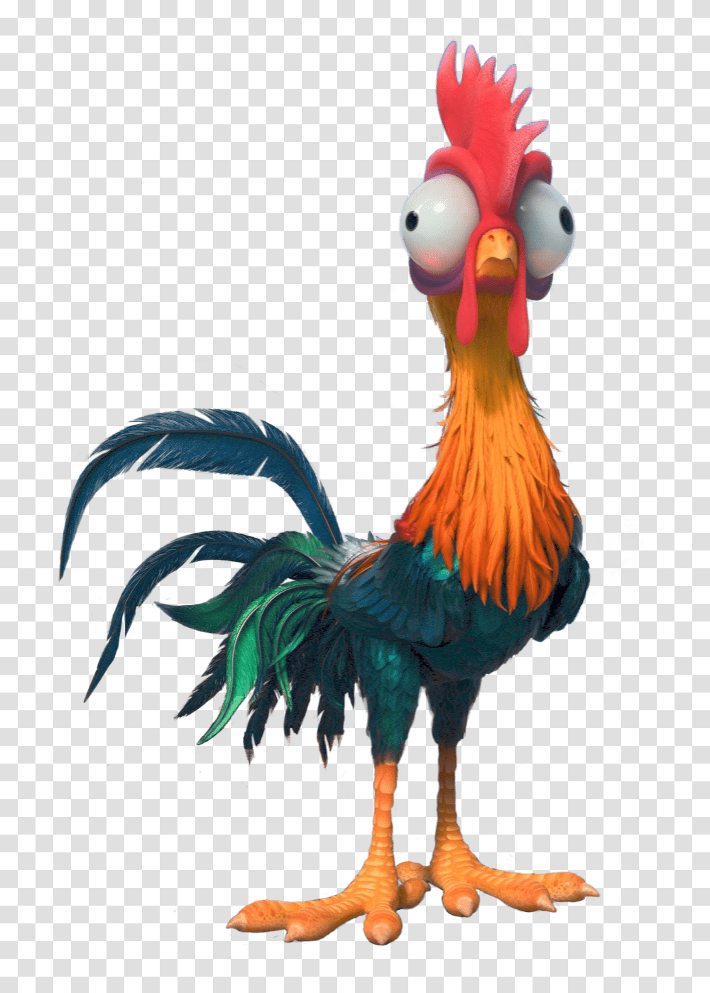 Animal, Bird, Rooster, Chicken Transparent Png