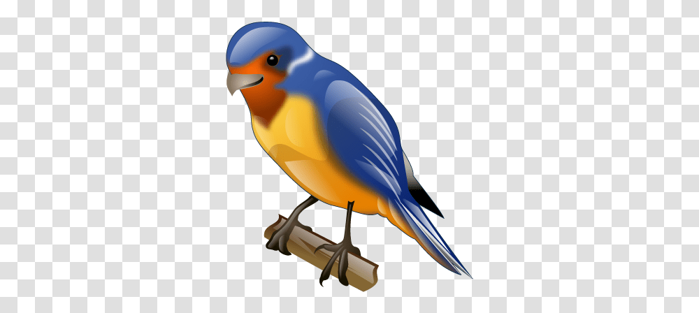 Animal Bird Swallow Twitter Icon Download Free Icons Bird Icon 3d, Canary, Finch, Bluebird Transparent Png