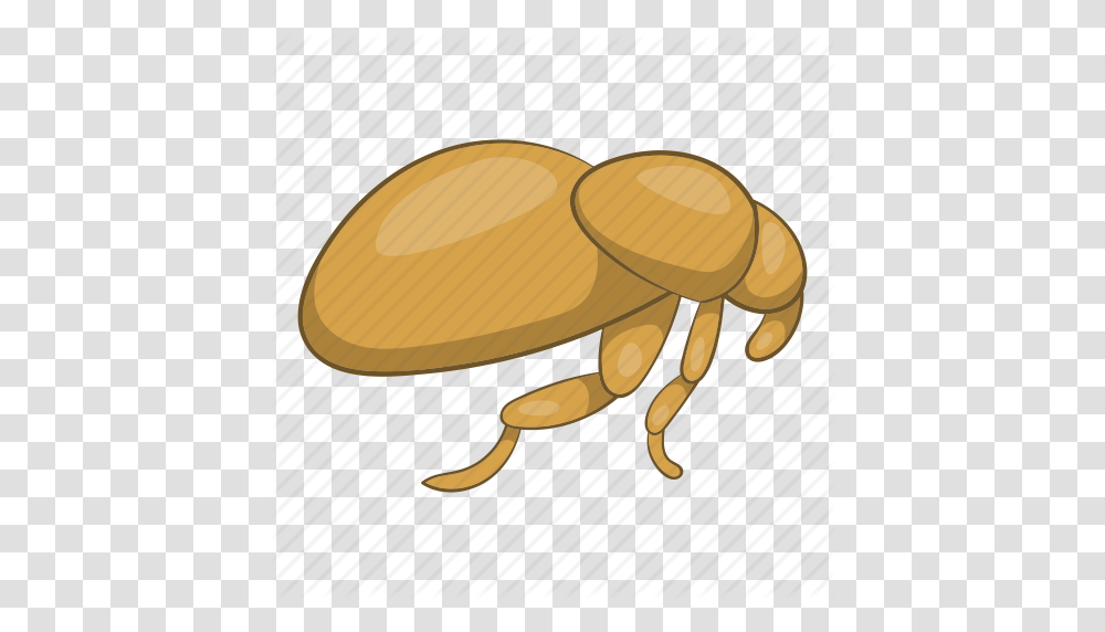 Animal Bite Cartoon Flea Insect Parasite Pest Icon, Invertebrate, Cockroach, Dung Beetle Transparent Png