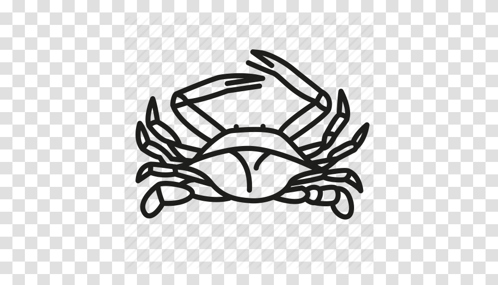 Animal Blue Crab Crab Ocean Life Sea Creature Shellfish Icon, Rug, Tool, Chain Saw Transparent Png