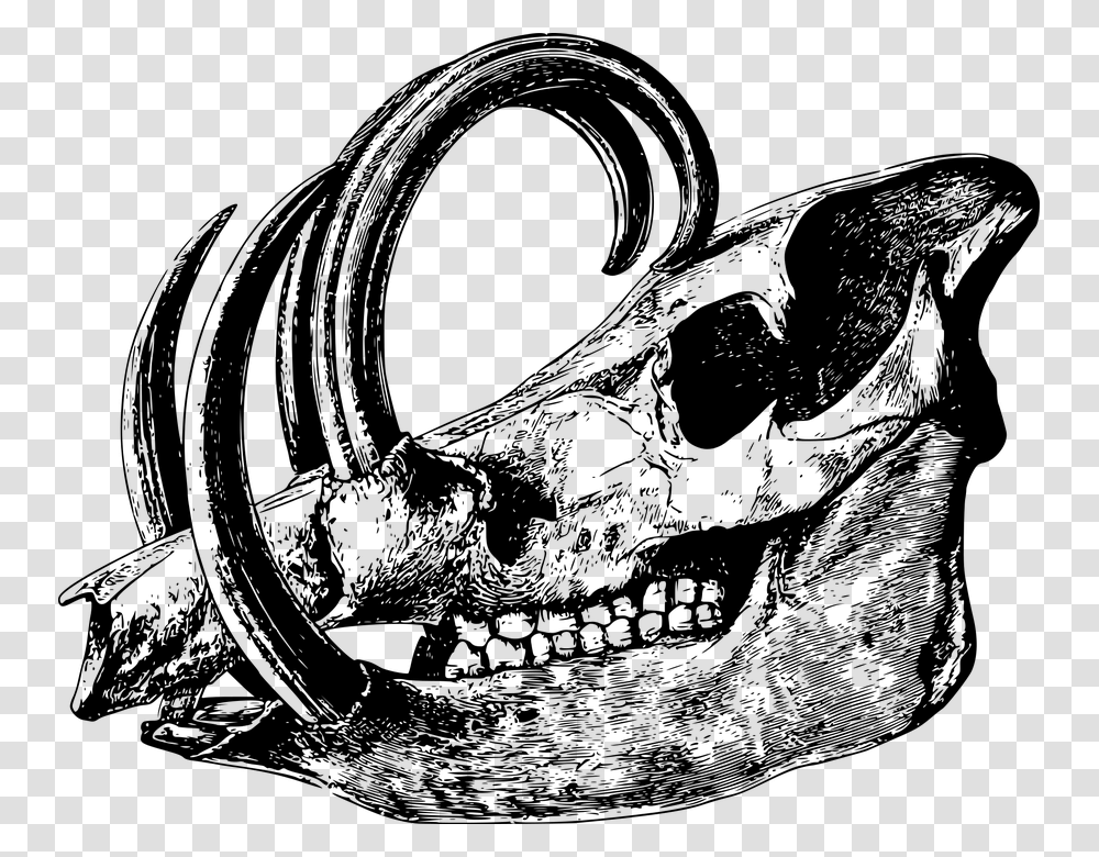 Animal Bone Head Mammal Skeleton Skull Animal Skull Black And White, Gray, World Of Warcraft Transparent Png