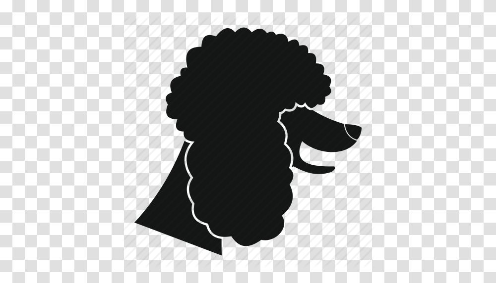 Animal Breed Canine Dog Friend Pet Poodle Icon, Silhouette, Photography, Kneeling Transparent Png