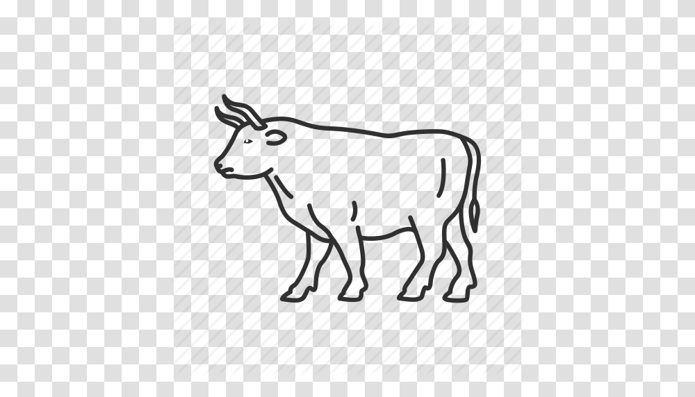 Animal Buffalo Bullock Carabao Emoji Mammal Ox Icon, Silhouette, Wildlife, Warthog, Wolf Transparent Png