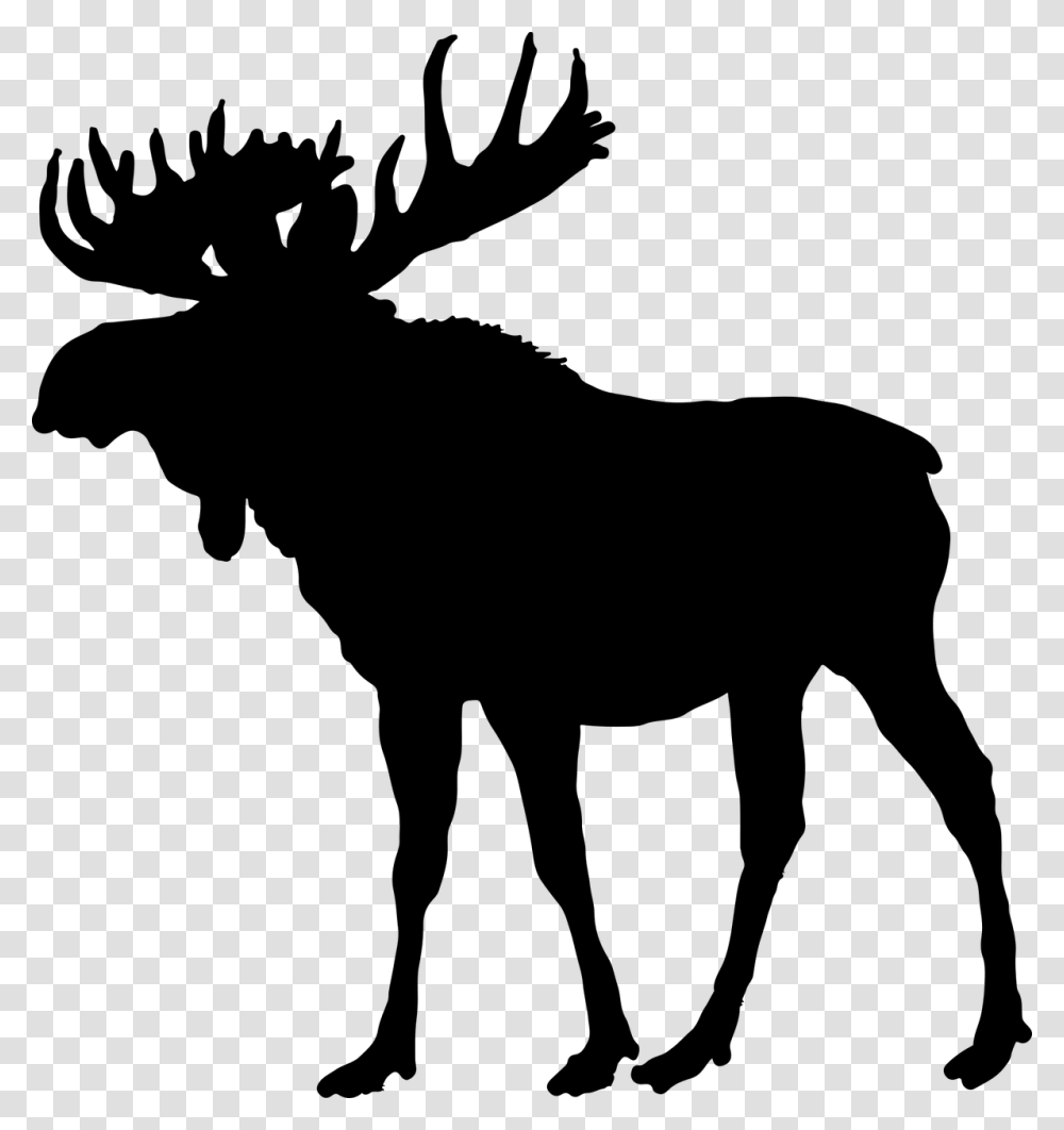 Animal Canada Horns Free Picture Moose Silhouette, Gray, World Of Warcraft Transparent Png