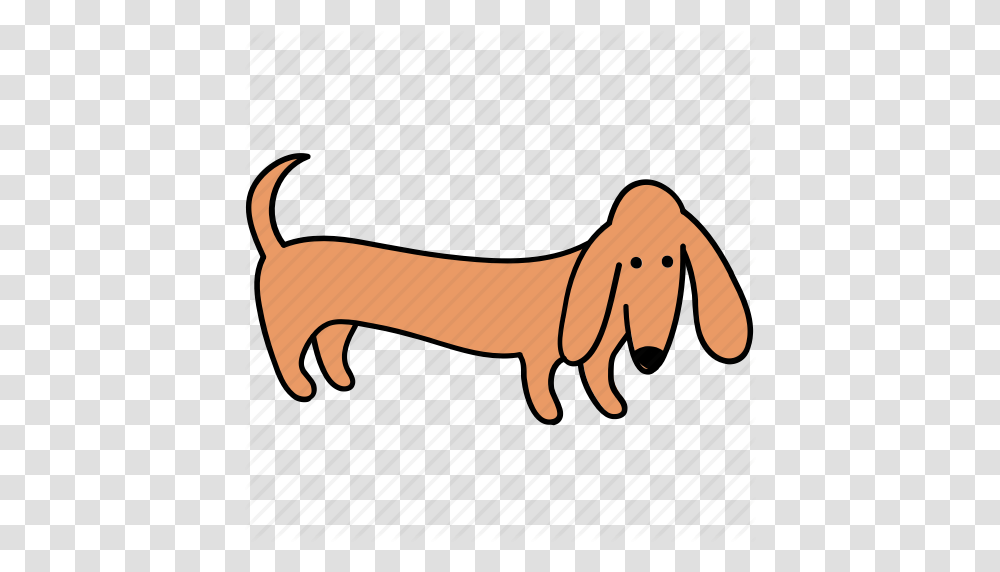 Animal Canine Dachshund Dog Look Pet Stand Icon, Mammal, Wildlife Transparent Png