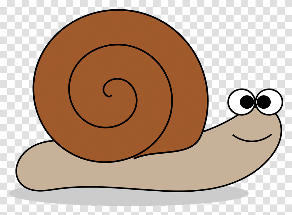 Animal Cartoon Animals Imgenes De Caracoles Animados, Invertebrate, Snail Transparent Png