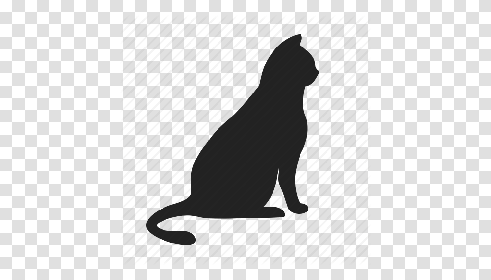 Animal Cat Icon, Axe, Silhouette, Mammal, Pet Transparent Png
