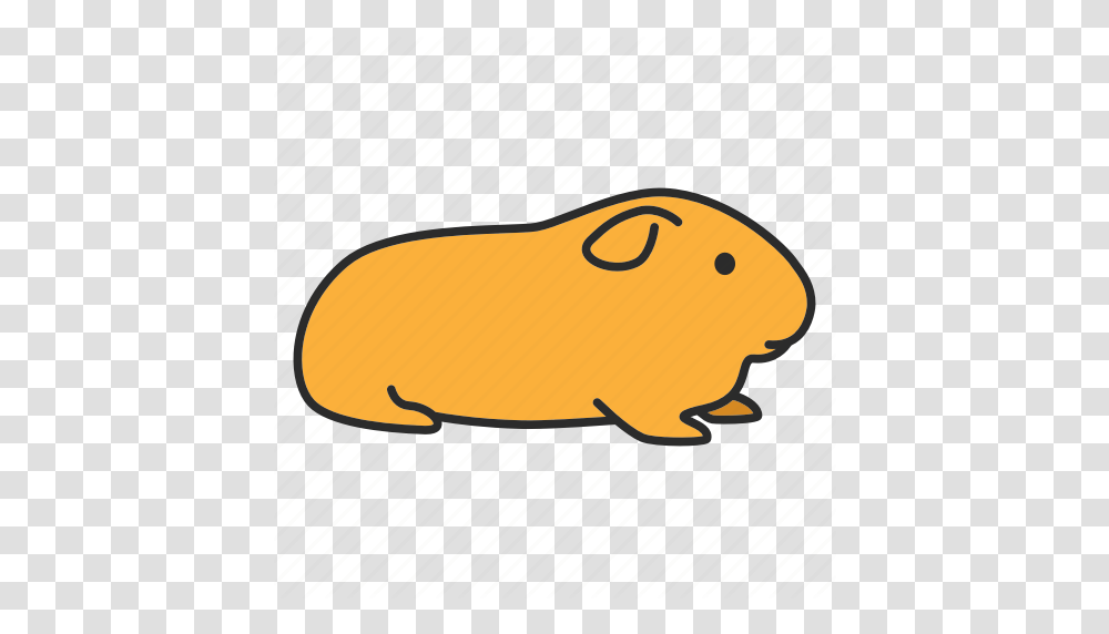 Animal Cavy Domestic Guinea Pet Pig Rodent Icon, Mammal, Food, Beaver, Wildlife Transparent Png