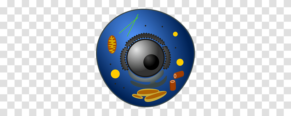 Animal Cell Technology, Disk, Electronics, Armor Transparent Png