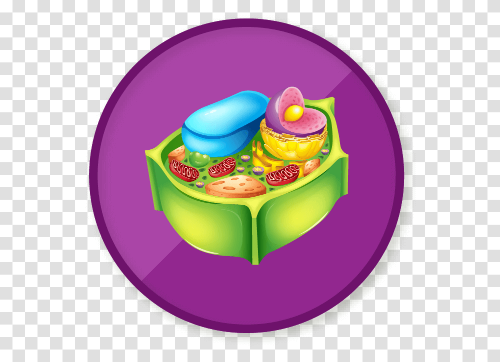 Animal Cell, Birthday Cake, Dessert, Food, Purple Transparent Png