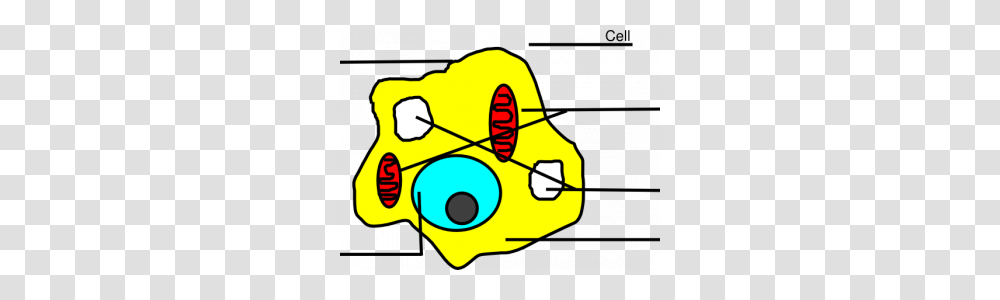 Animal Cell Diagram Unlabeled Basic Animal Cell Diagram Unlabeled, Dynamite, Bomb, Weapon, Weaponry Transparent Png