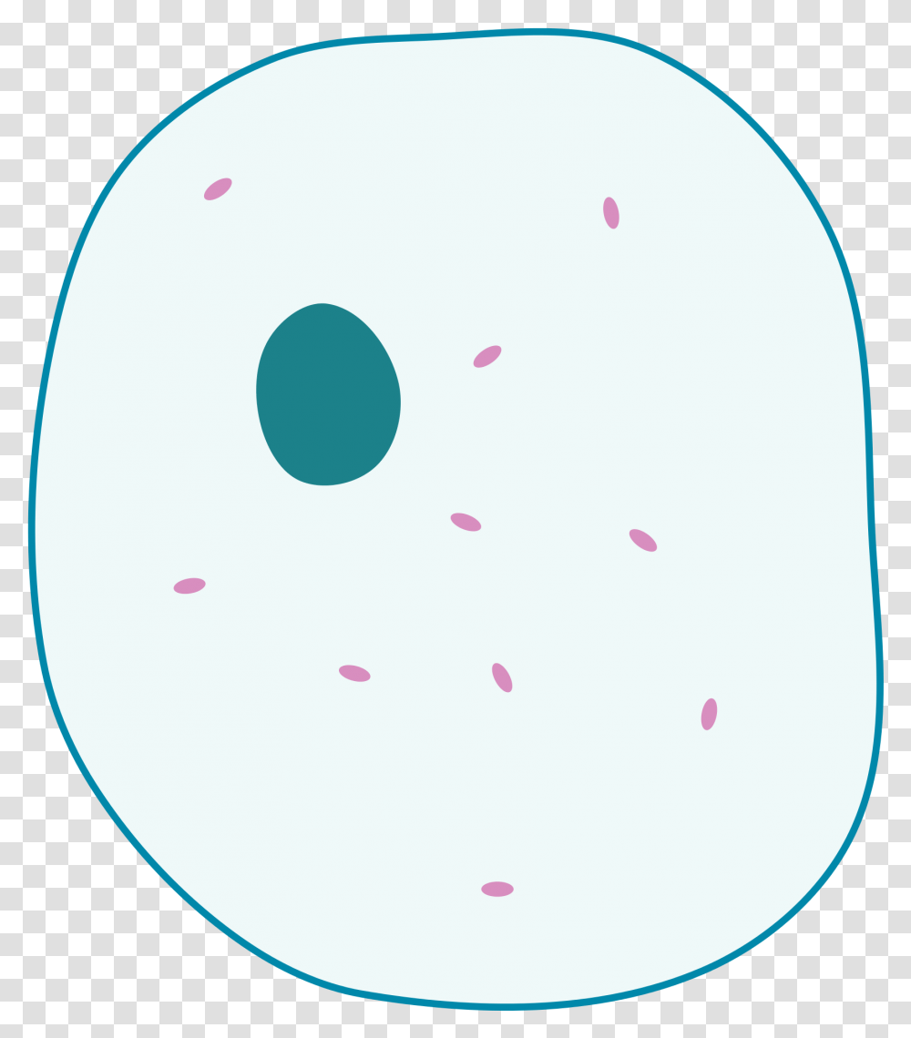 Animal Cell File Simple Diagram Of Simple Animal Cell Unlabelled, Paper, Confetti, Balloon, Sprinkles Transparent Png