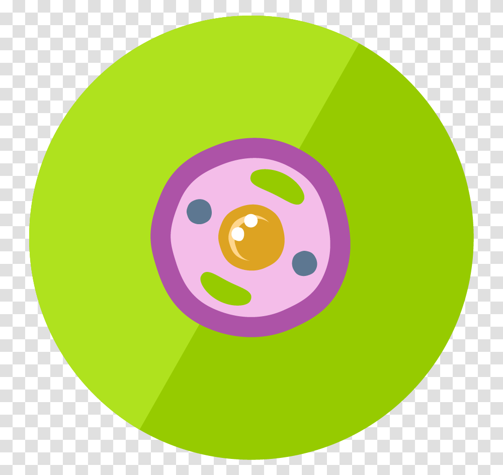 Animal Cell Icon Clipart Animal Cell Icon, Tennis Ball, Sport, Sports, Disk Transparent Png