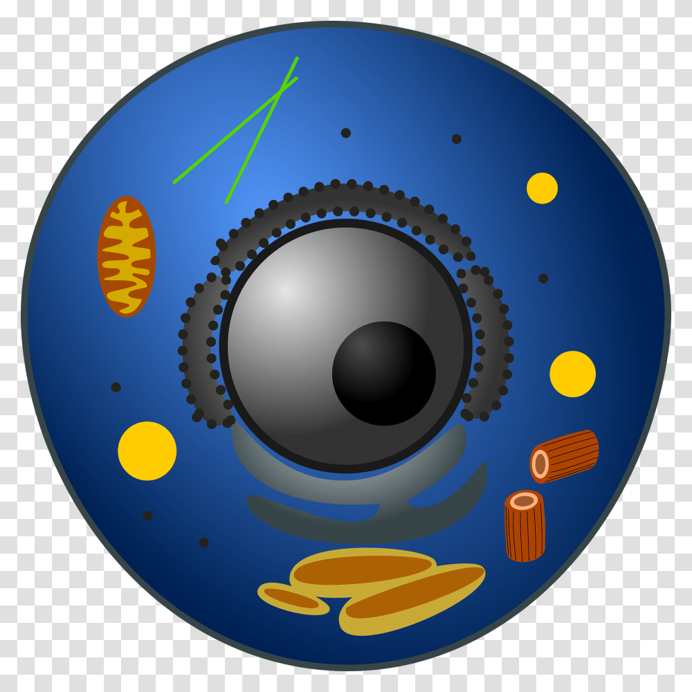 Animal Cell Lysosome In Animal Cell, Electronics, Disk, Speaker, Audio Speaker Transparent Png