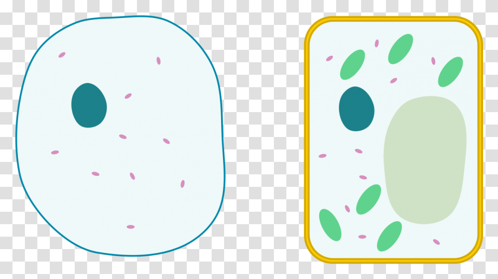 Animal Cell, Moon, Outer Space, Night, Astronomy Transparent Png