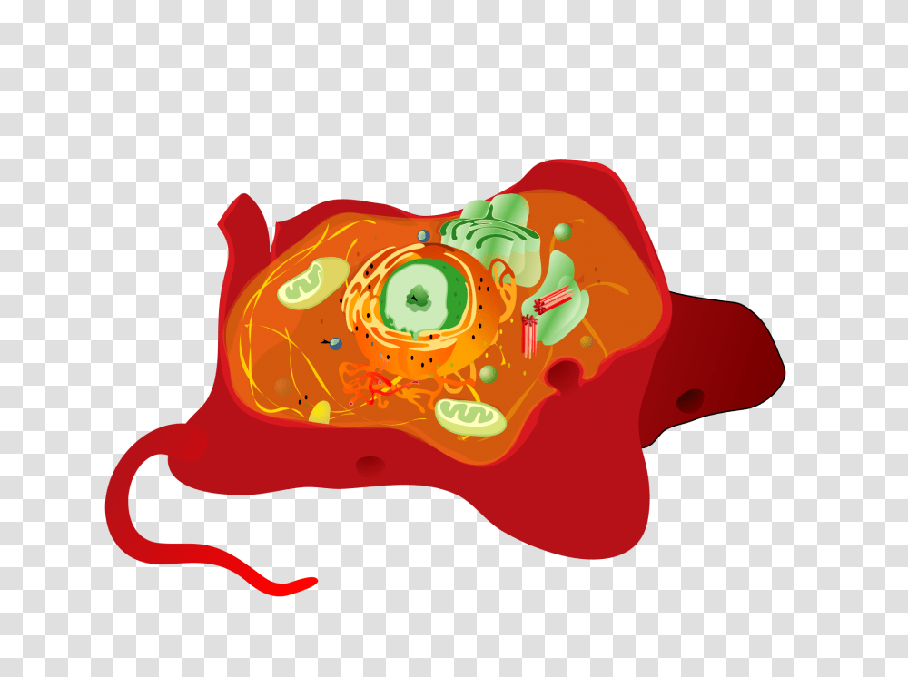 Animal Cell Structure No Text, Mammal, Pattern, Pet, Dog Transparent Png