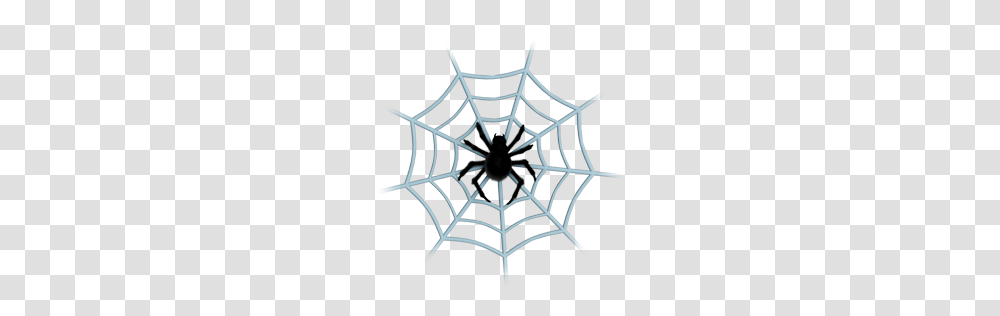 Animal Center Clue Cobweb Communication Connection Danger, Spider Web Transparent Png