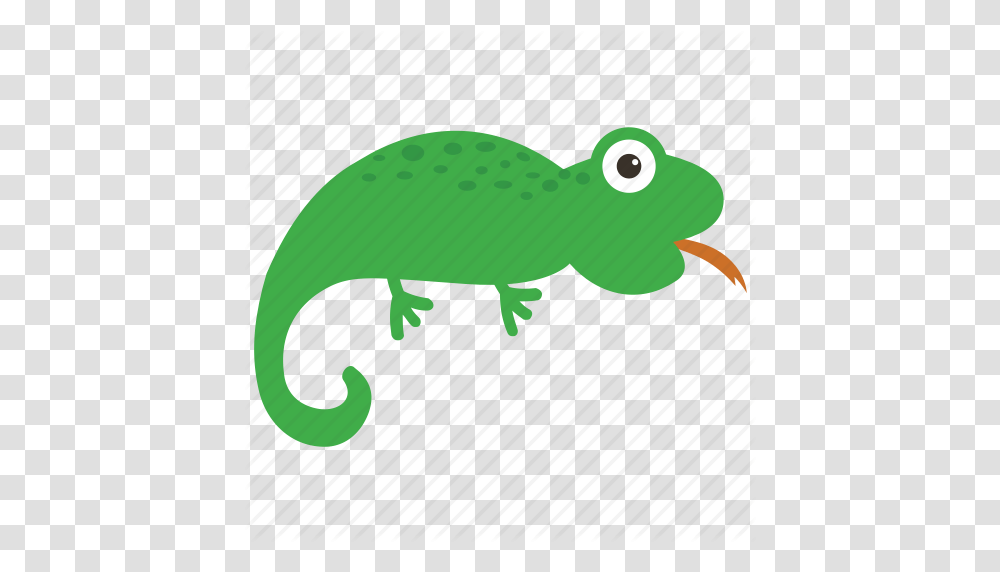 Animal Chameleon Gecko Lizard Reptile Icon, Fish, Amphibian, Wildlife, Tadpole Transparent Png